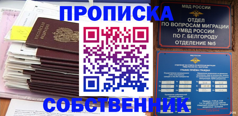 прописка законно в Михайловке