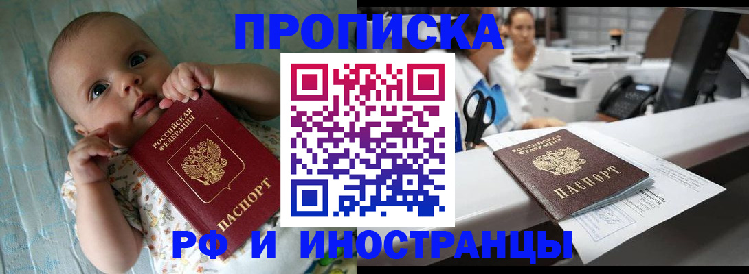 прописка поиск в Михайловке